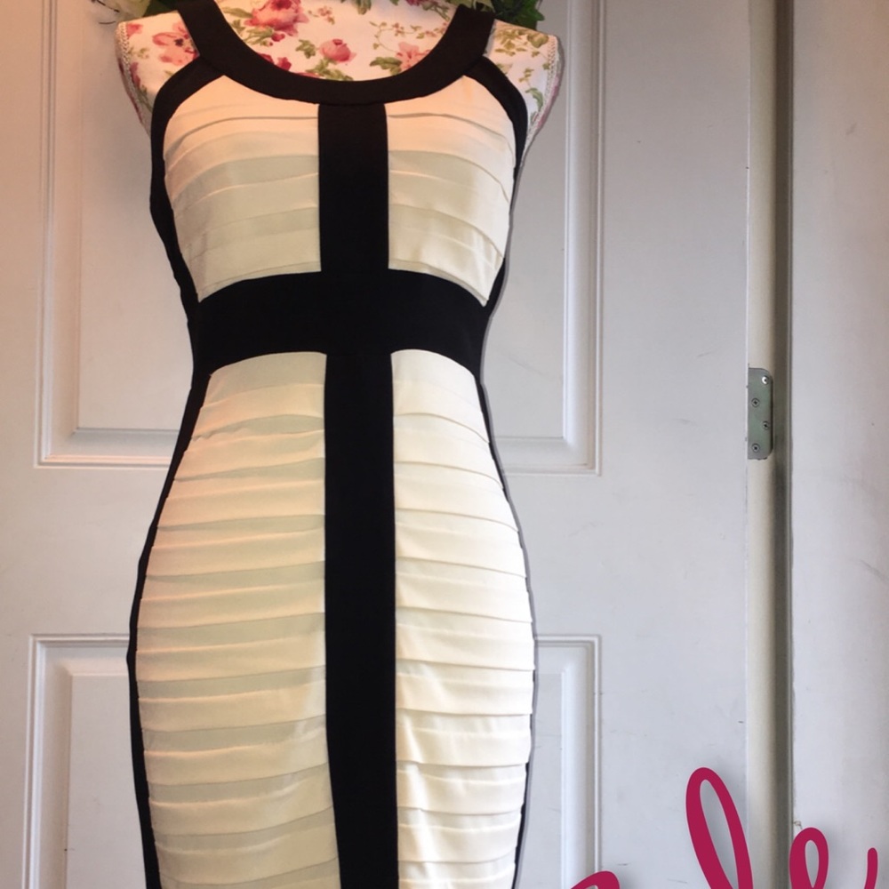 NWT Cache Elegant BodyCon