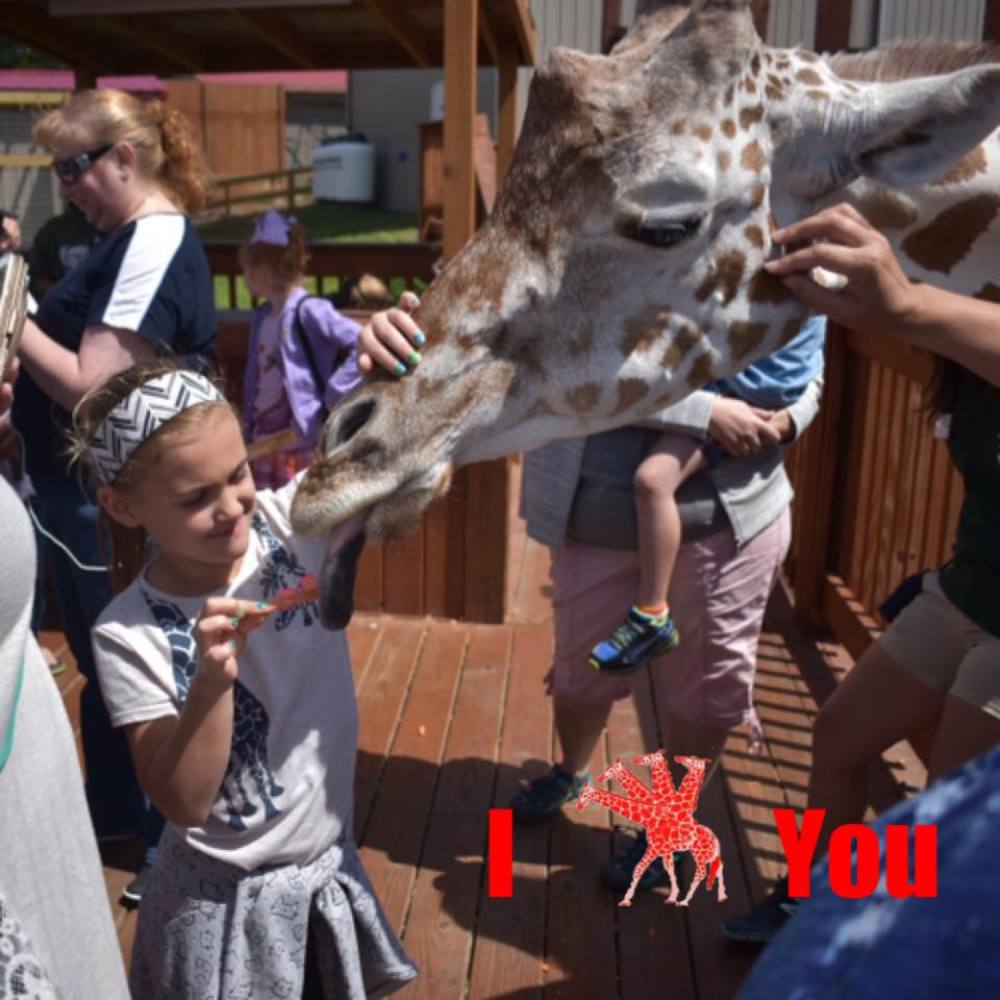 Meet your Posher, Julie