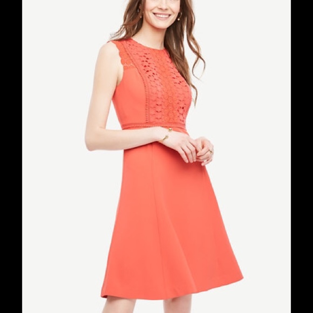 Ann Taylor sleeveless lace trim flare 👗 - Picture 2 of 6