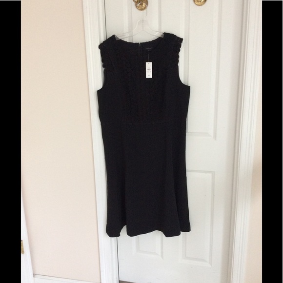 Ann Taylor sleeveless lace trim flare 👗 - Picture 3 of 6
