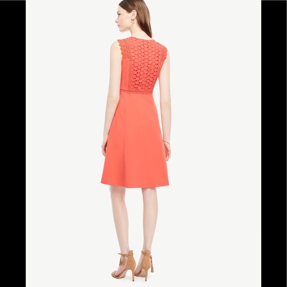 Ann Taylor sleeveless lace trim flare 👗 - Picture 5 of 6