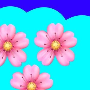 Meet your Posher, Katelynn