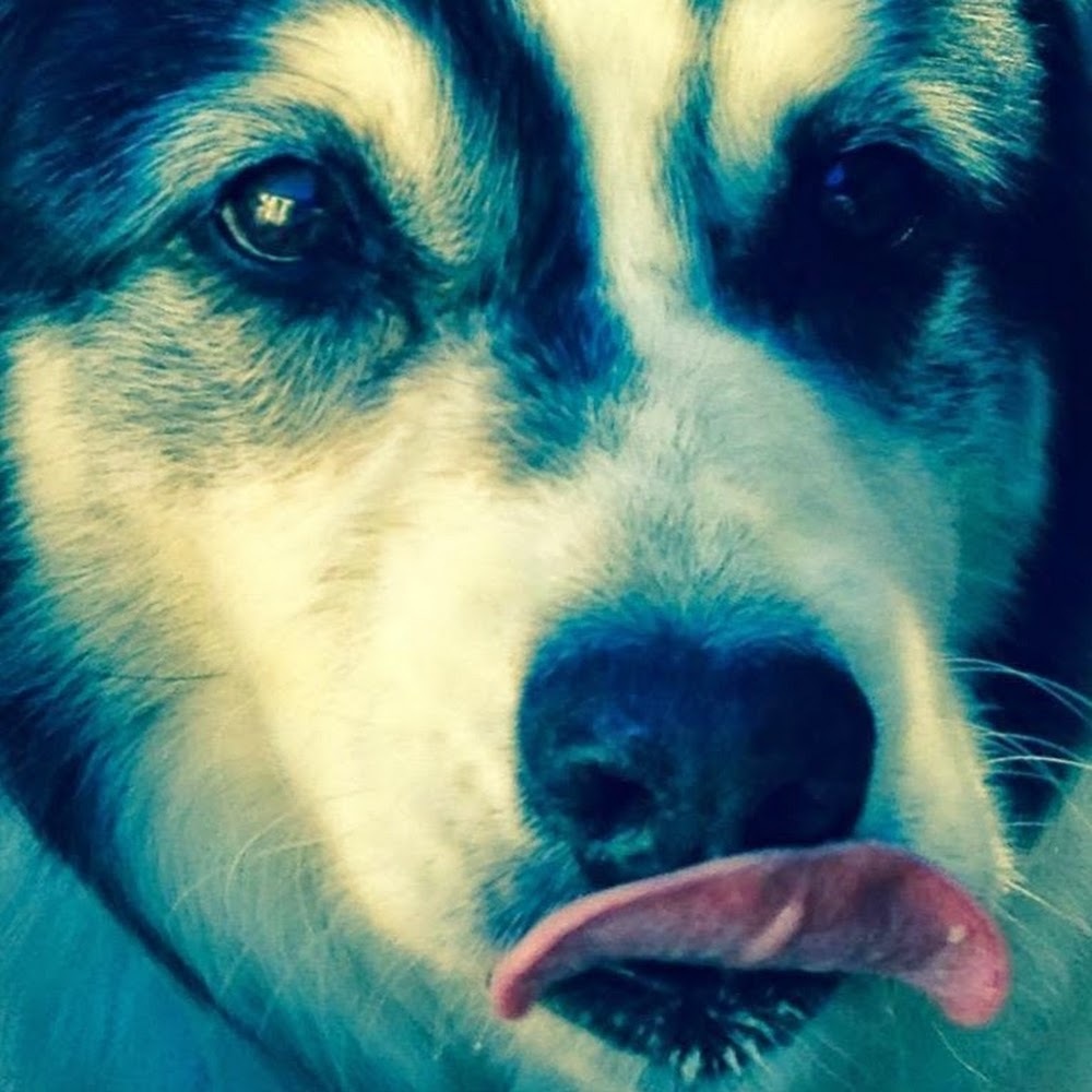 Meet your Posher, Sally