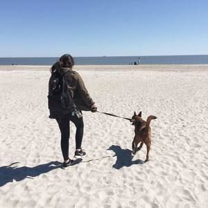 Meet your Posher, Ana