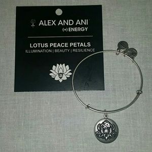 Alex and Ani Bracelet
