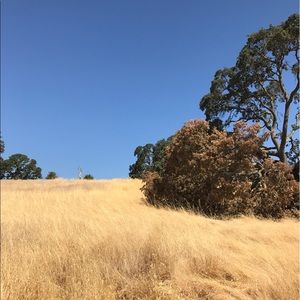 Meet your Posher, Carl