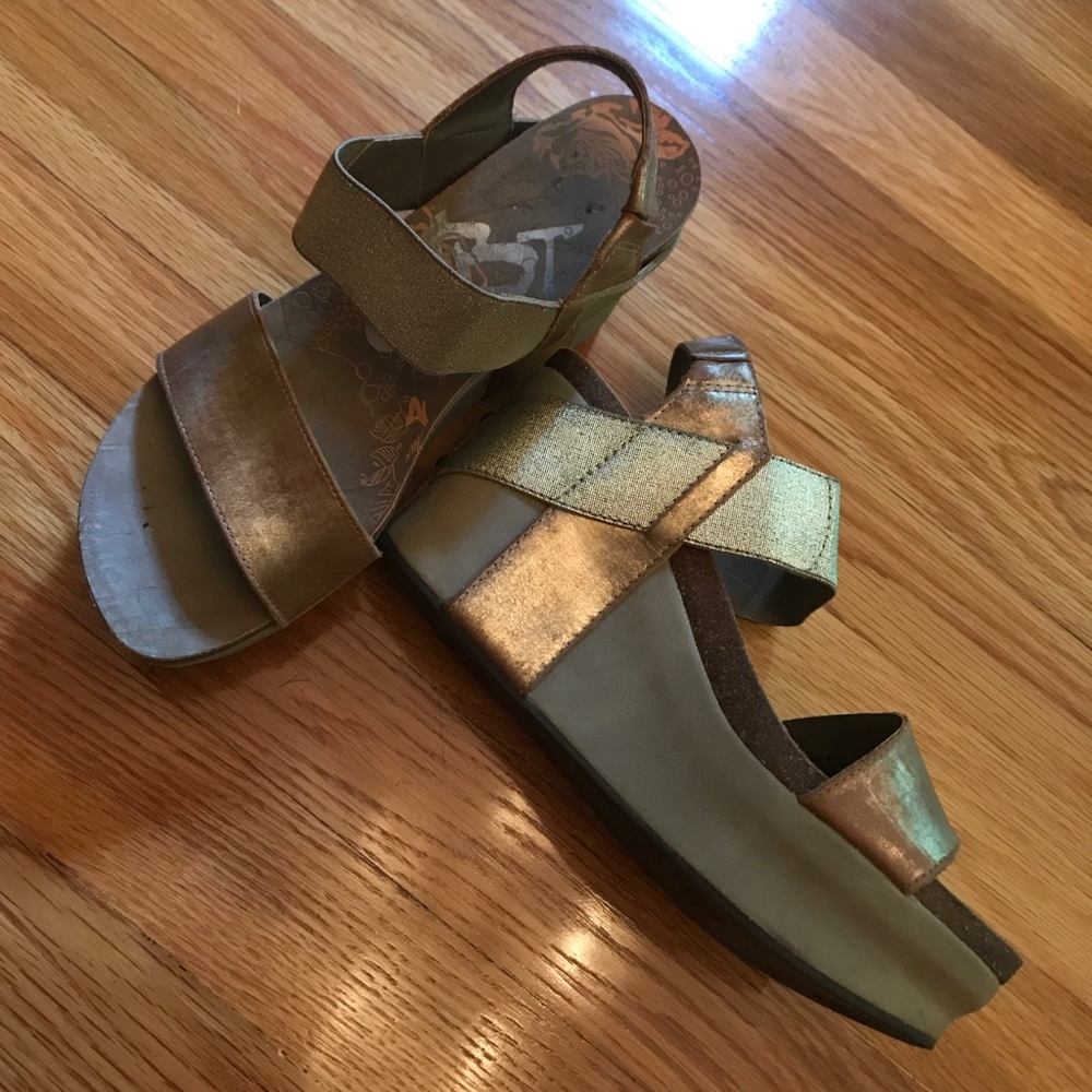 oTbt wedge