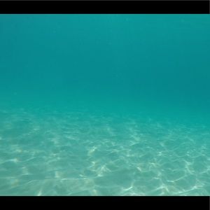 Meet your Posher, Ellie