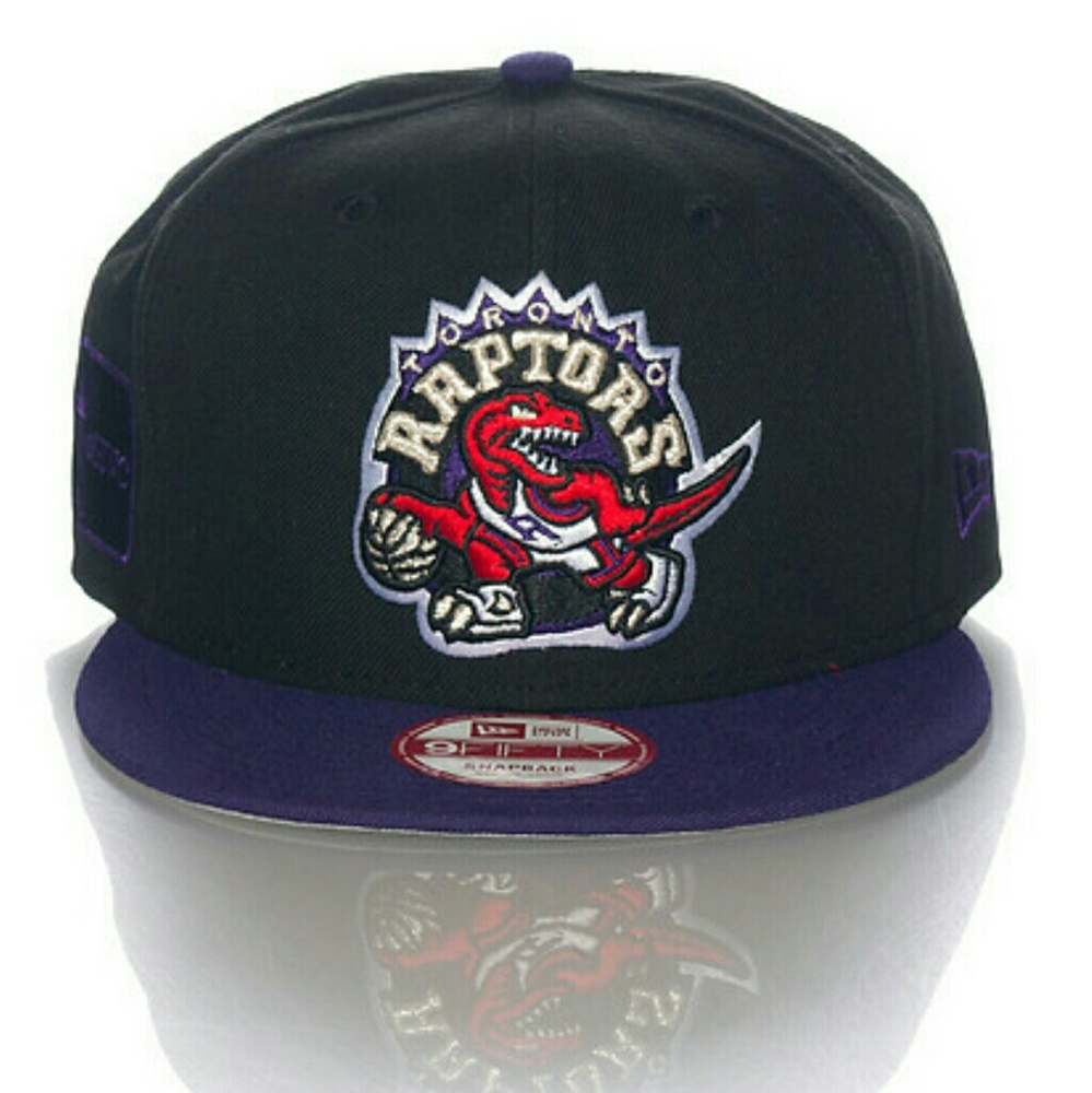 Toronto raptors