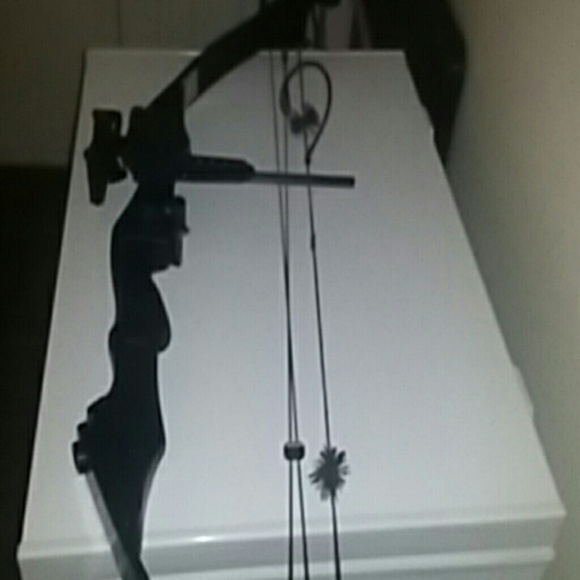 This is a grfite compound bow - Picture 3 of 3