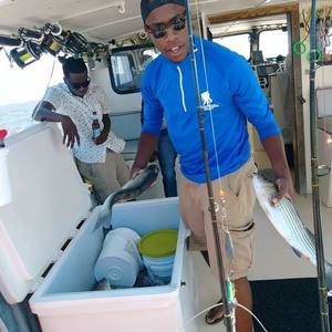 Meet your Posher, Brent