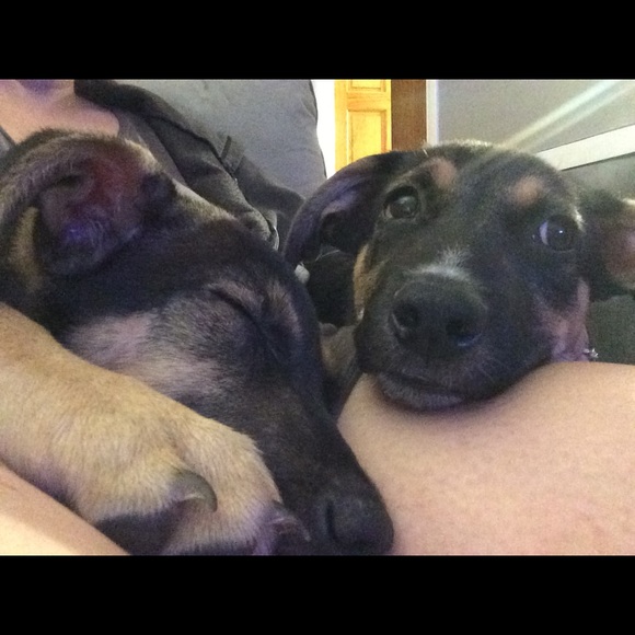 Meet your Posher, Jess - Picture 2 of 3