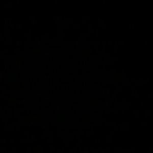 Meet your Posher, Vane