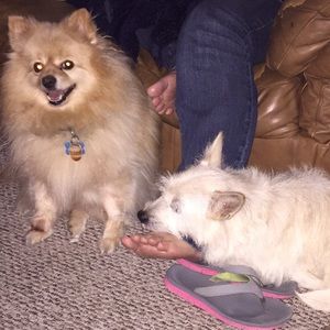 Meet your Posher, Angela