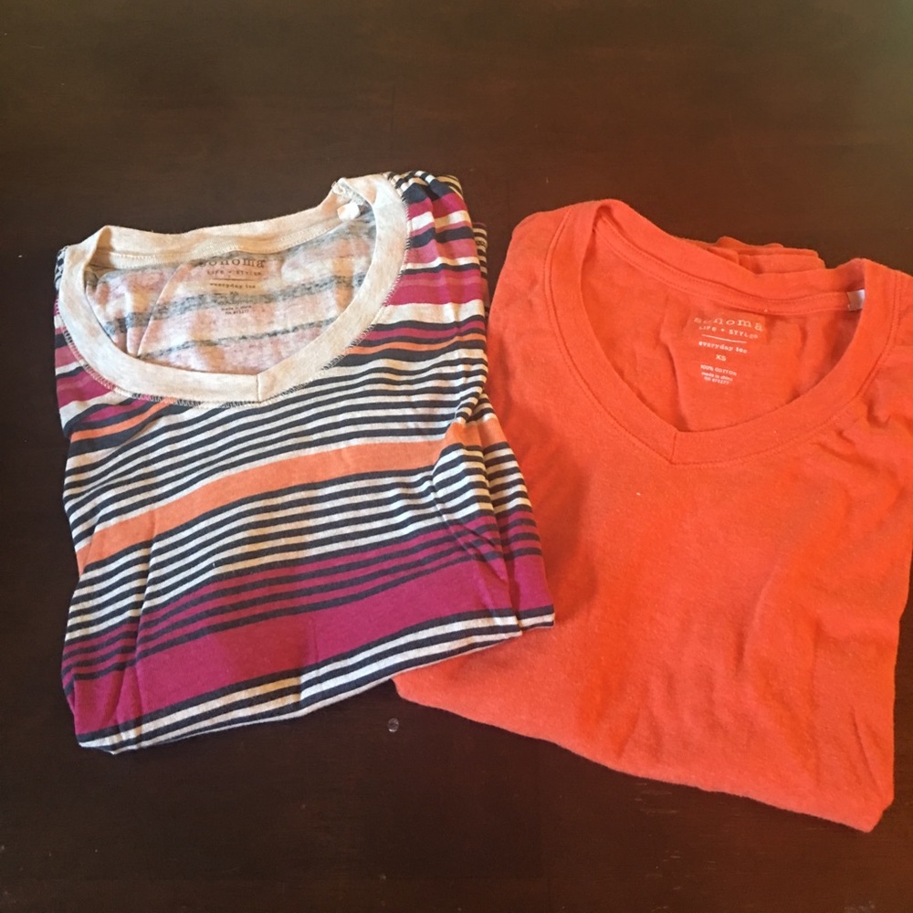 Lot of 2 short sleeved tees