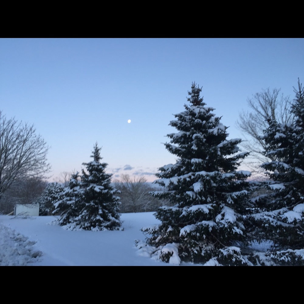 Meet your Posher, Karen