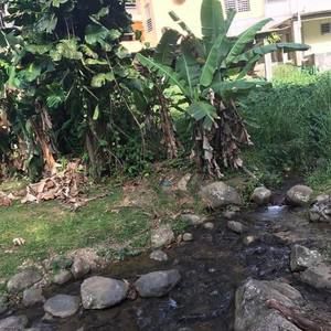 Meet your Posher, Thania