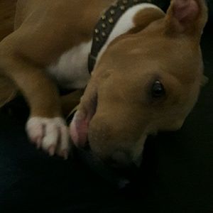 Meet your Posher, Esther