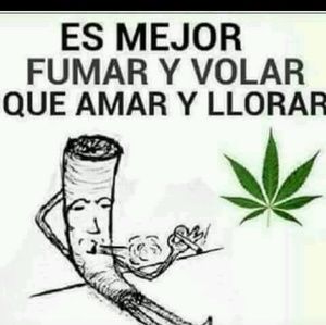 Meet your Posher, Antonio