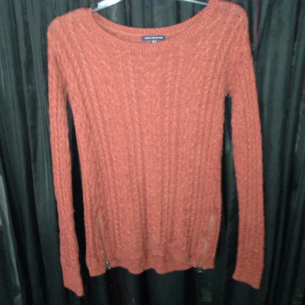 Rusty red/ maroon braided sweater (American Eagle)