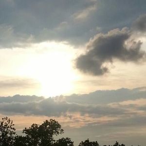 Meet your Posher, Pamela