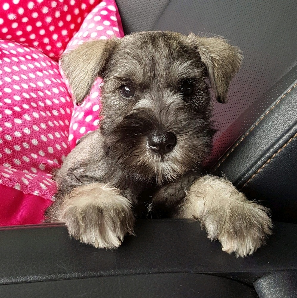 Meet your Posher, Beth