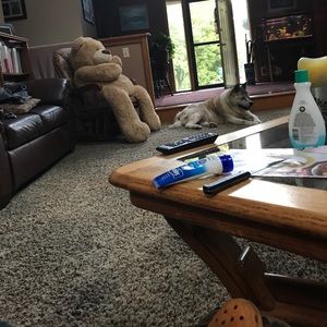 Meet your Posher, Brian