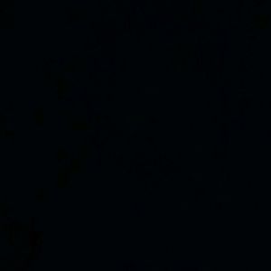 Meet your Posher, Roman