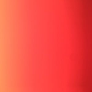 Meet your Posher, Isabel