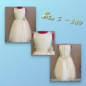 Ornate Jacquard with Multi-Toned Tulle