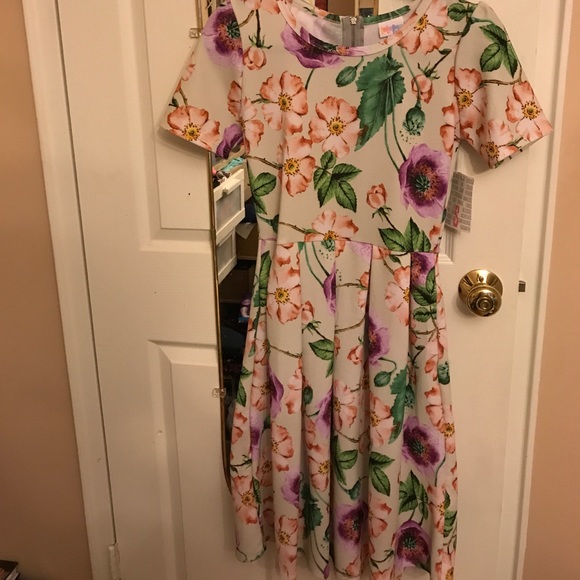 LuLaRoe Dresses & Skirts - Lularoe Floral Amelia size small - NWT