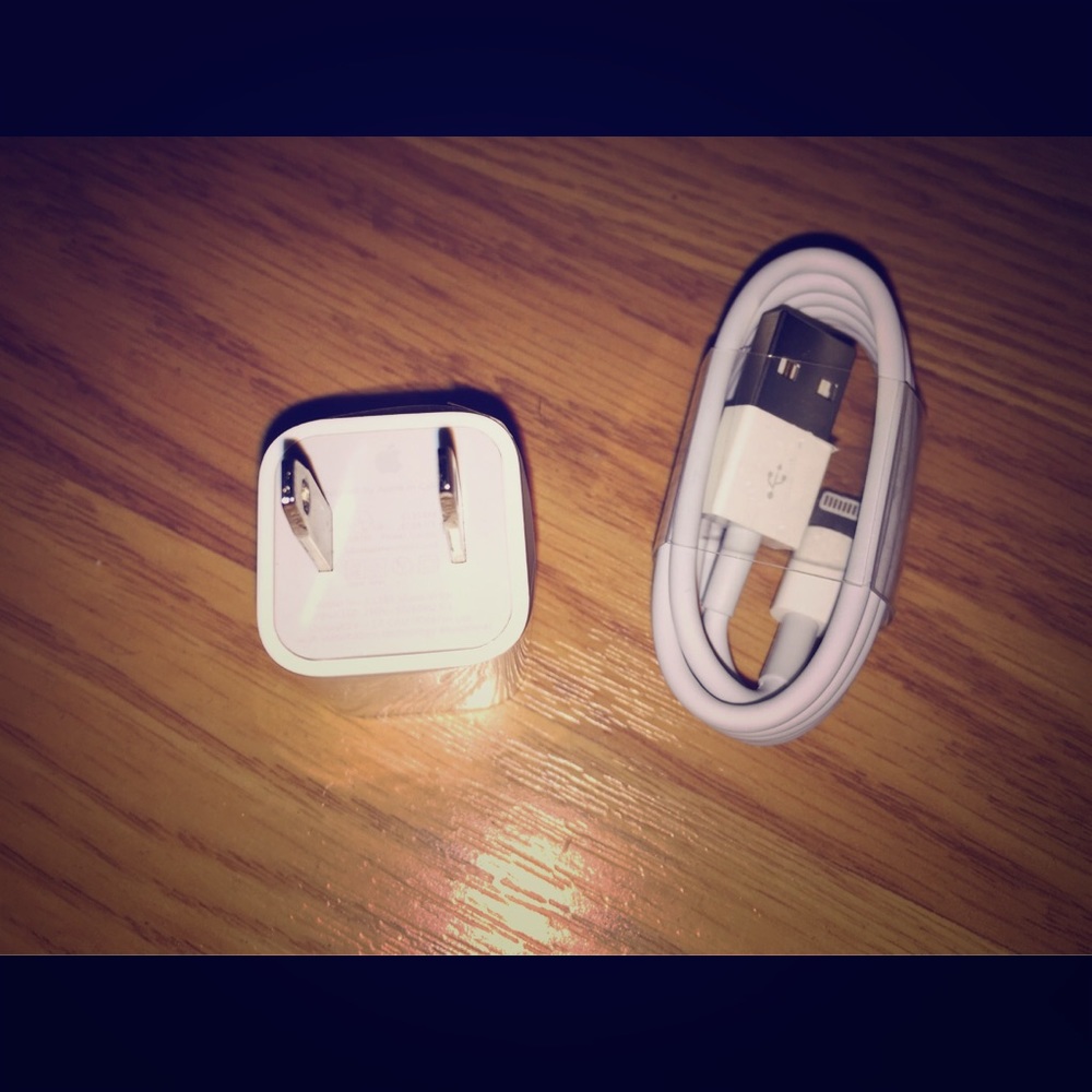 iPhone Charger Cable and Wall Adapter White