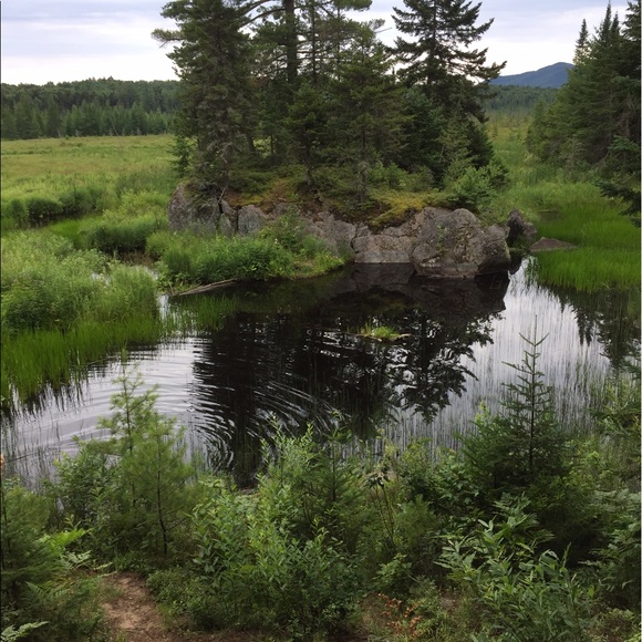 Meet your Posher, Jennifer - Picture 1 of 1