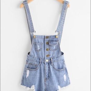 Denim Overalls