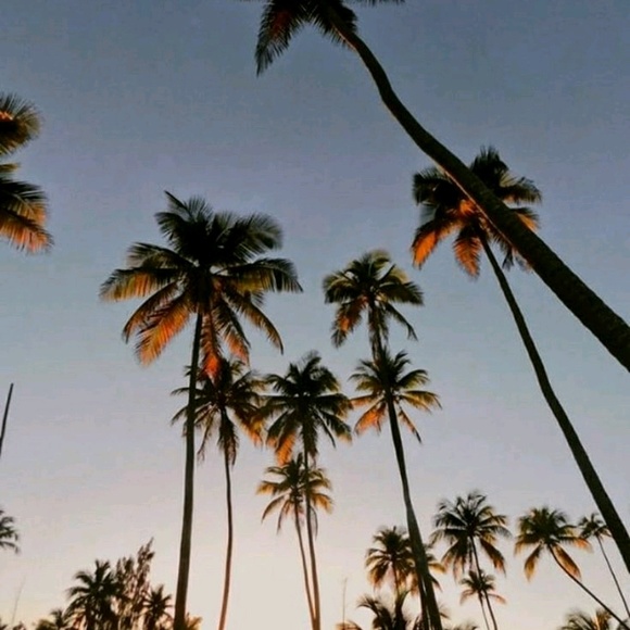 Meet your Posher, Erin - Picture 1 of 1