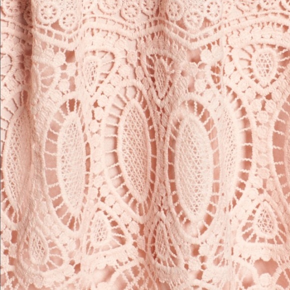Pink Lace Fit and Flare Dress - Picture 2 of 7