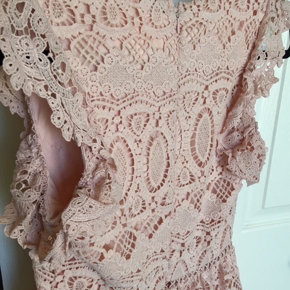 Pink Lace Fit and Flare Dress - Picture 5 of 7