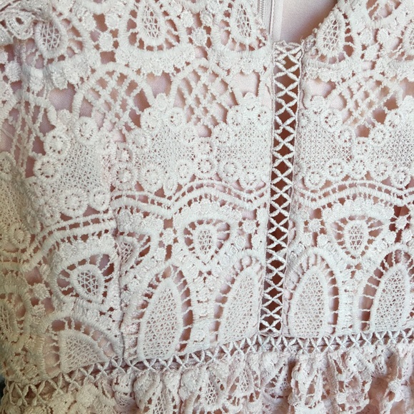 Pink Lace Fit and Flare Dress - Picture 6 of 7