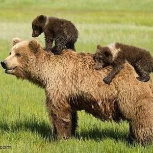 Meet your Posher, Christy deluca