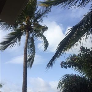 Meet your Posher, Graycie