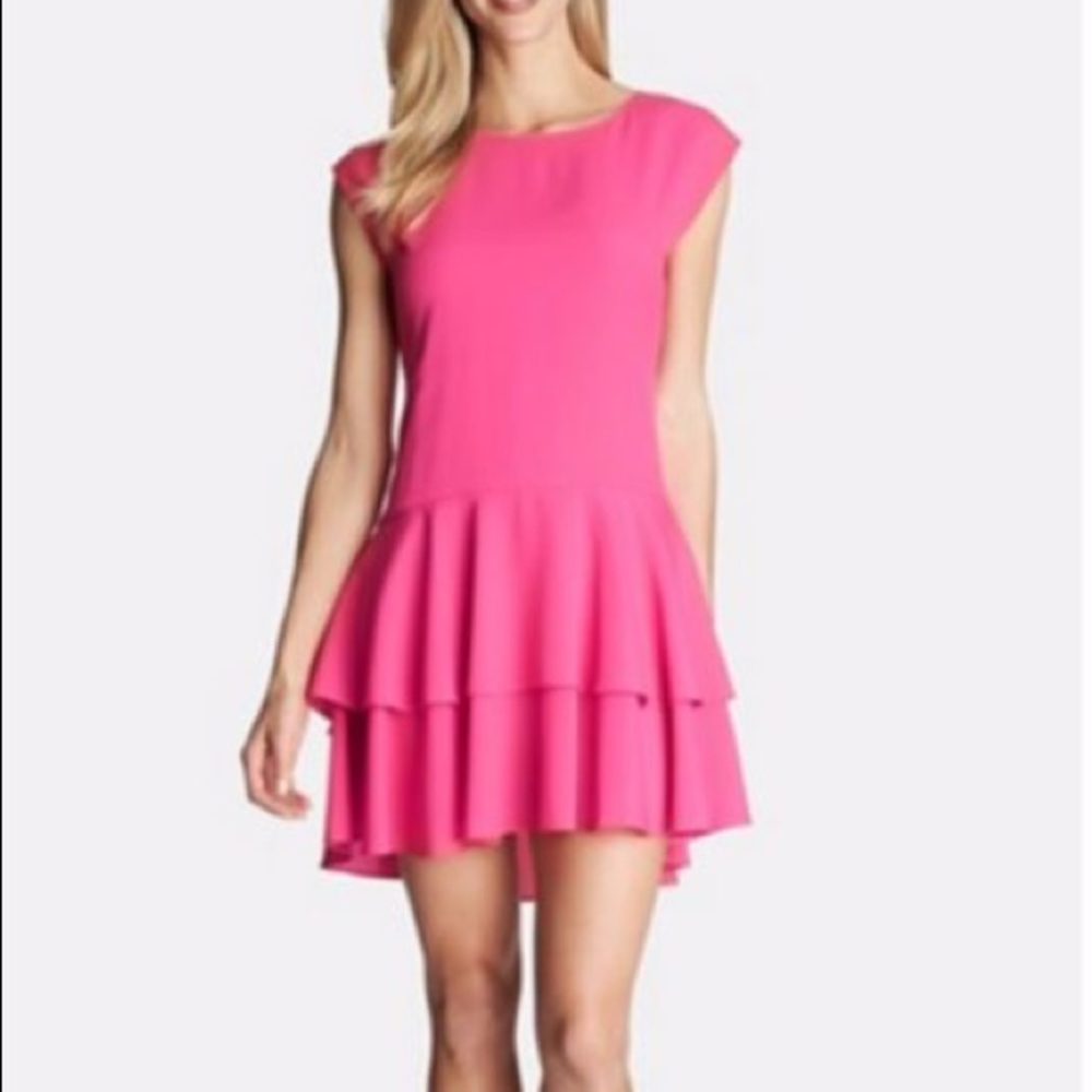 ⚡️Sale⚡️CeCe by Cynthia Steffe Dress