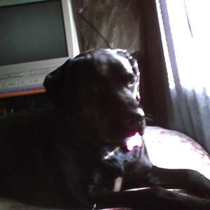 Meet your Posher, Crystal