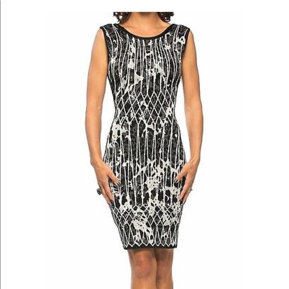 Herve Leger Dresses & Skirts - NWOT HERVE LEGER SIDNEY DRESS