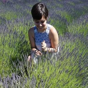 Meet your Posher, Alix