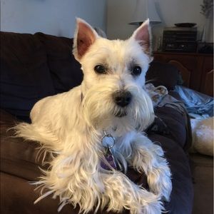 Meet your Posher, Elise