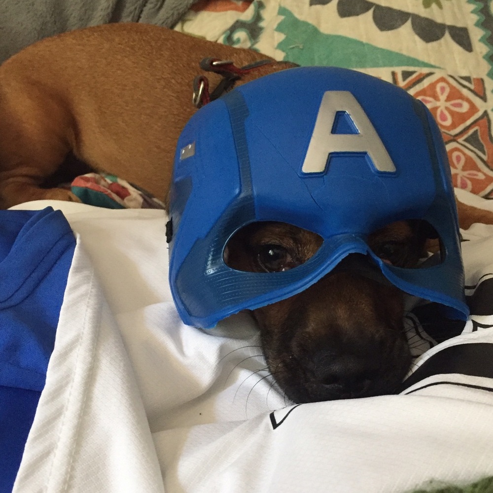 Meet your Posher, Samara