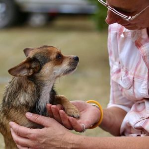 Meet your Posher, Kathy