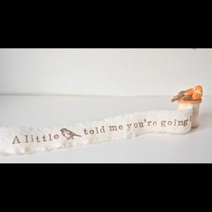 Pregnancy announcement