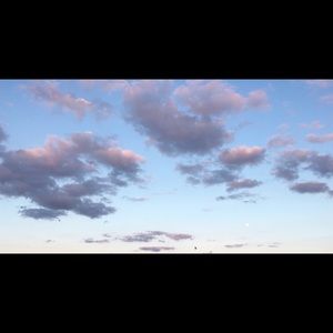 Meet your Posher, Carla