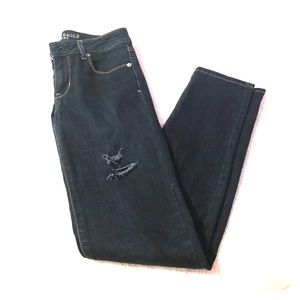 American Eagle Dark Wash Skinny Jeans